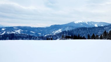 Karlı dağ sırası olan kış manzarası.