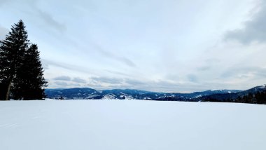 Kar ve ağaçlarla kaplı kış manzarası