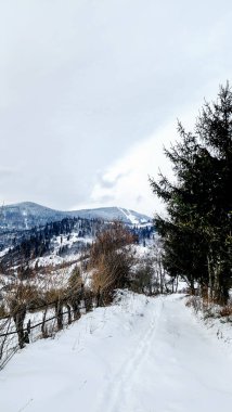 Karlı güzel kış manzarası