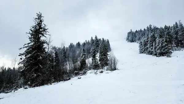 Dağlardaki güzel dağ manzarası, kış, ağaçlar ve kar.