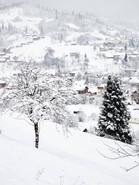 İsviçre 'de karla kaplı dağlara kış manzarası