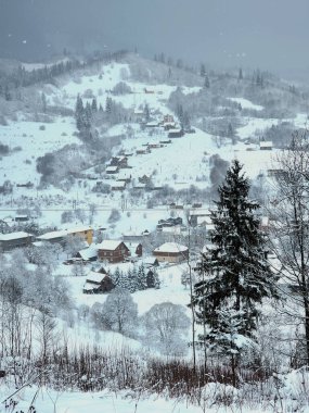 Karla kaplı ağaçlarla kaplı kış manzarası