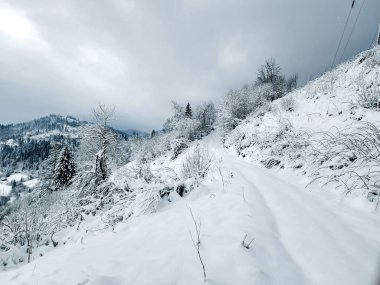 Karla kaplı ağaçlarla kaplı güzel kış manzarası