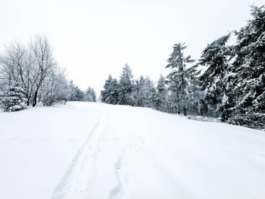 Karla kaplı ağaçlarla kaplı kış manzarası