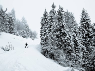 Bir kış günü, karla kaplı ormanda bir adamın güzel bir fotoğrafı.