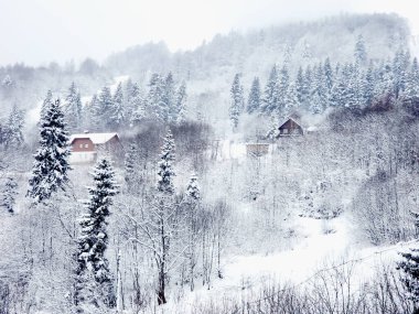 Dağlarda kış manzarası
