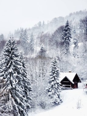 Dağlarda karlı ormanlarla kaplı kış manzarası