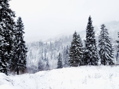 Güzel karlı kış dağları