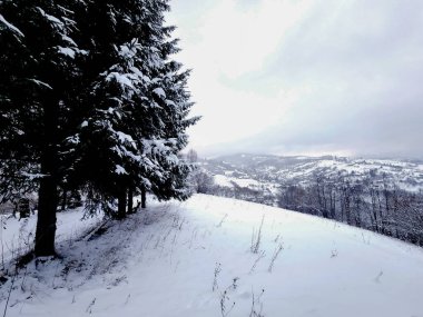 Dağlarda kış manzarası