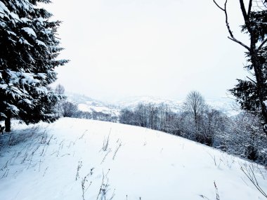 Karlı dağ kış manzarası.