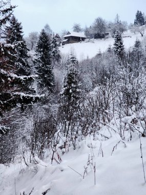 Karlı bir kış gününün dikey çekimi karla kaplı.