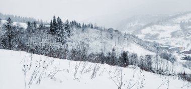 Karla kaplı ağaçlarla kaplı kış manzarası