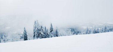 Karpatlar 'da karlı dağlarla kaplı kış manzarası