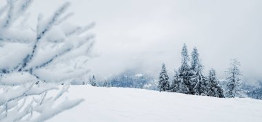Karlı güzel kış manzarası