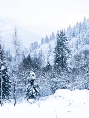 Kar - kışın tepeli dağlar