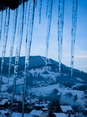 Almanya 'da karla kaplı ağaçların güzel kış manzarası
