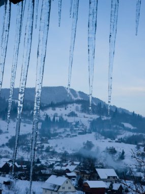 Karla kaplı ağaçlarla kaplı kış manzarası