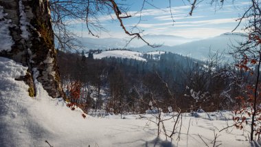 Karla kaplı ağaçlarla kaplı kış manzarası