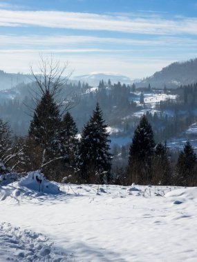 Karla kaplı ağaçlarla kaplı güzel kış manzarası
