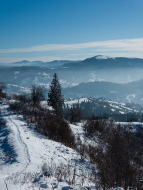 Karpatlar 'da kış, Ukrayna