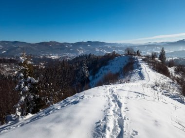 dağ manzarası ile kar kış