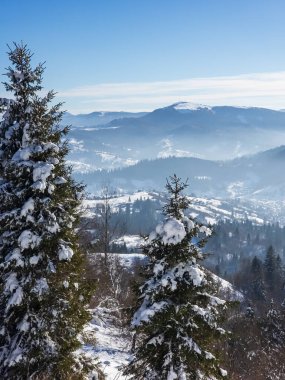 Karla kaplı ağaçlarla kaplı kış manzarası