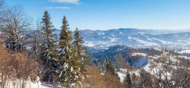 Güzel kış dağ karla kaplı ağaçlar ile manzara