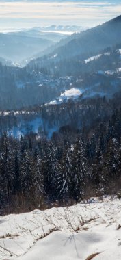 Karla kaplı ağaçlarla kaplı güzel kış manzarası