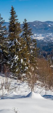 Almanya 'da Schingbach yakınlarında, Thuringia' da kış.
