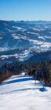 Güneşli bir bahar gününde karlı bir ormanın güzel manzarası.