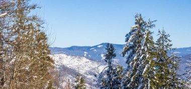 Kışın Karpat mountain