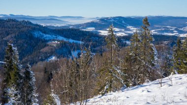 Karla kaplı ağaçlar, ormanlar ve dağlarla kaplı kış manzarası.