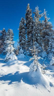 Doğanın güzel manzarası