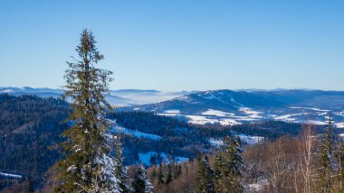 Karla kaplı ağaçlarla kaplı güzel kış manzarası