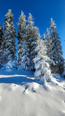 Dağların kış manzarası pofuduk beyaz karla kaplıdır.