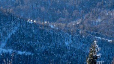 Kış dağ manzarası, ağaçlar ve kar