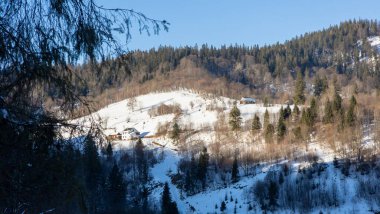 Karpatlar 'da kış dağı manzarası