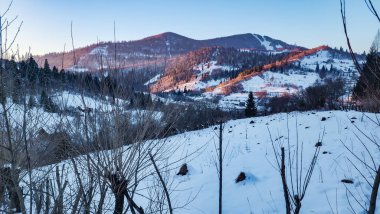 Karla kaplı ağaçlarla kaplı kış manzarası
