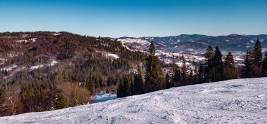 Karlı ve ağaçlı dağ manzarası