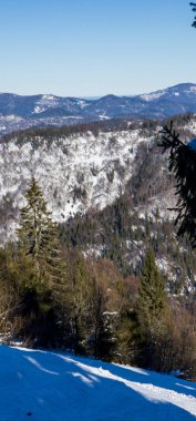 Karpatların dağlarındaki güzel kış manzarası