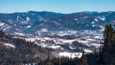 Karla kaplı ağaçlarla kaplı kış manzarası