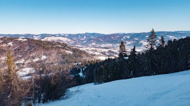 Karla kaplı ağaçlarla kaplı güzel kış manzarası