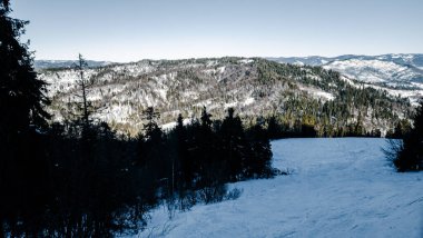 Karlı bir dağ manzarasının güzel kış manzarası