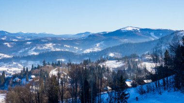 Karpat dağları kış mevsiminde, kar ağaçları ve çalıları kaplamıştı..