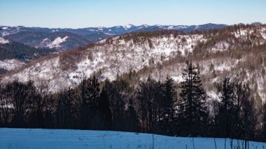 Karpatlar 'daki güzel dağ manzarası
