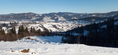 Karlı ağaçlarla kaplı kış manzarası