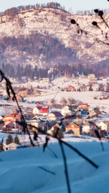 Hokkaido'da kış manzarası