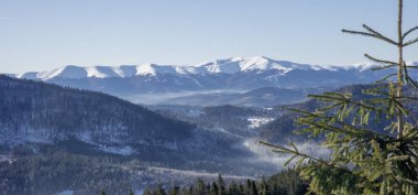 Karpat Dağları, Ukrayna. Kış manzarası
