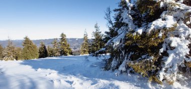 Dağların kış manzarası ve karla kaplı ağaçlar.