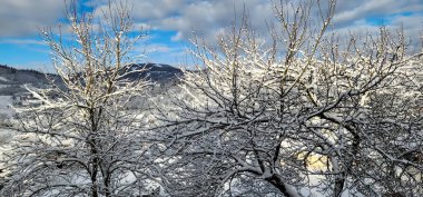 Dağlardaki güzel kış manzarası